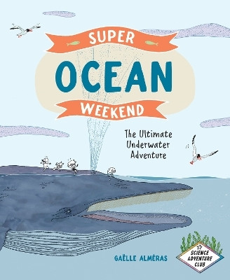 Super Ocean Weekend(English, Hardcover, Almeras Gaelle)