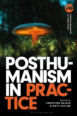 Posthumanism in Practice(English, Paperback, unknown)
