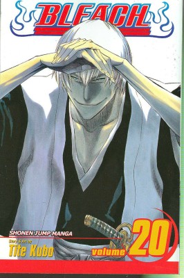 Bleach, Vol. 20: Volume 20(English, Paperback, Kubo Tite)