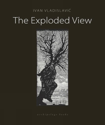 The Exploded View(English, Paperback, Vladislavic Ivan)