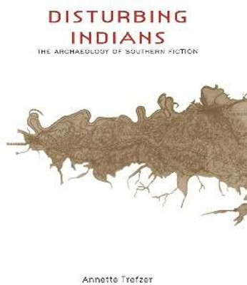 Disturbing Indians(English, Hardcover, Trefzer Annette)