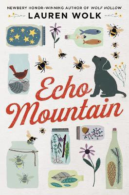 Echo Mountain(English, Hardcover, Wolk Lauren)