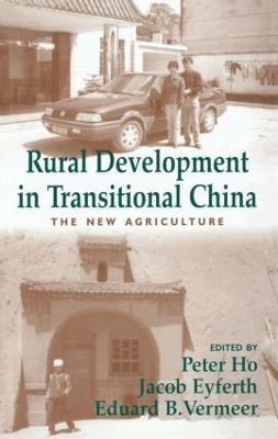 Rural Development in Transitional China(English, Paperback, unknown)