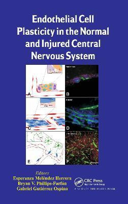 Endothelial Cell Plasticity in the Normal and Injured Central Nervous System(English, Hardcover, unknown)