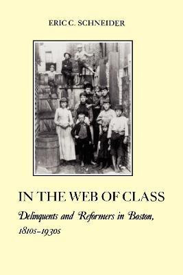 In the Web of Class(English, Paperback, Schneider Eric C.)
