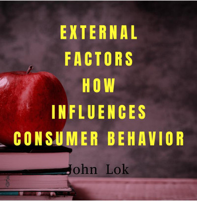 EXTERNAL FACTORS HOW INFLUENCES CONSUMER BEHAVIOR(English, Paperback, John Lok)