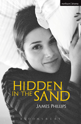 Hidden in the Sand(English, Paperback, Phillips James)