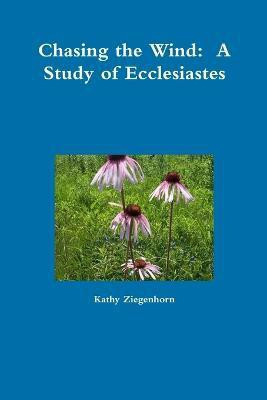 Chasing the Wind: A Study of Ecclesiastes(English, Paperback, Ziegenhorn Kathy)