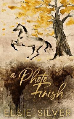 A Photo Finish(English, Paperback, Silver Elsie)