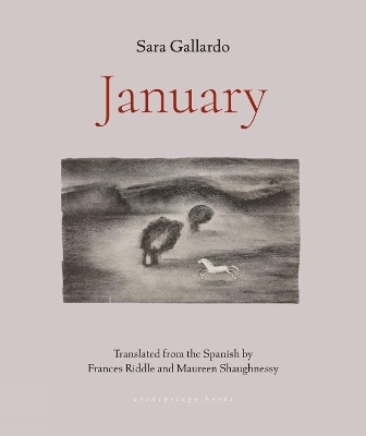 January(English, Paperback, Gallardo Sara)