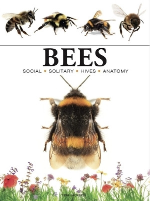 Bees(English, Paperback, Jackson Tom)