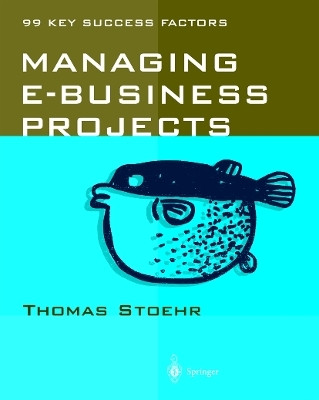 Managing e-business Projects(English, Paperback, Stoehr Thomas)