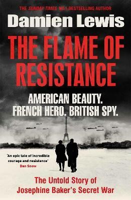 The Flame of Resistance(English, Paperback, Lewis Damien)