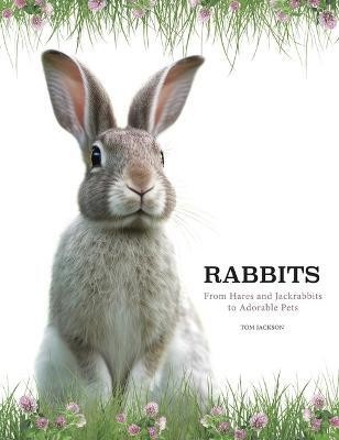 Rabbits(English, Hardcover, Jackson Tom)