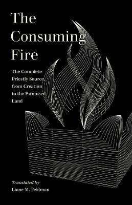 The Consuming Fire(English, Paperback, Feldman Liane M.)