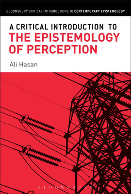 A Critical Introduction to the Epistemology of Perception(English, Paperback, Hasan Ali)