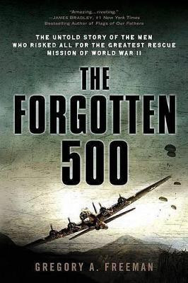 The Forgotten 500(English, Paperback, Freeman Gregory A.)