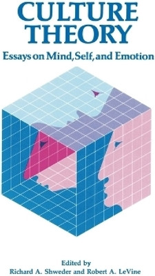 Culture Theory(English, Paperback, unknown)