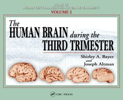 The Human Brain During the Third Trimester(English, Hardcover, Bayer Shirley A.)
