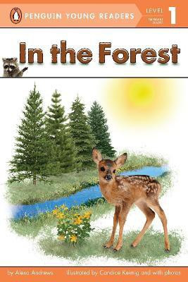 In the Forest(English, Paperback, Andrews Alexa)