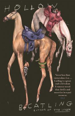 Hollow(English, Paperback, Catling Brian)