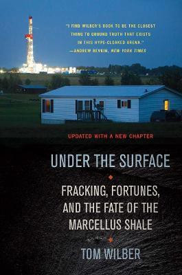Under the Surface(English, Electronic book text, Wilber Tom)
