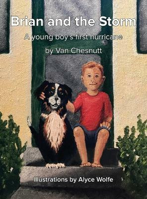Brian and the Storm(English, Hardcover, Chesnutt Van)