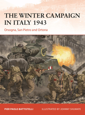 The Winter Campaign in Italy 1943(English, Paperback, Battistelli Pier Paolo)