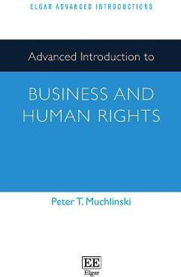 Advanced Introduction to Business and Human Rights(English, Paperback, Muchlinski Peter T.)