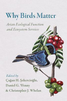 Why Birds Matter(English, Paperback, unknown)