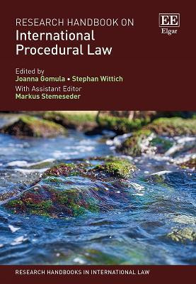 Research Handbook on International Procedural Law(English, Hardcover, unknown)