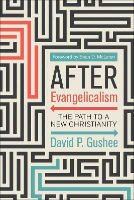 After Evangelicalism(English, Paperback, Gushee David P.)