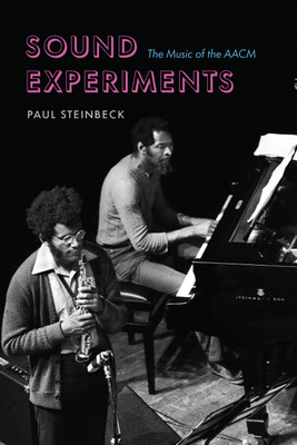 Sound Experiments(English, Paperback, Steinbeck Paul)