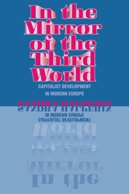 In the Mirror of the Third World(English, Paperback, Halperin Sandra)