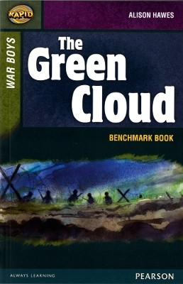 Rapid Stage 8 Assessment book: The Green Cloud(English, Paperback, Reid Dee)
