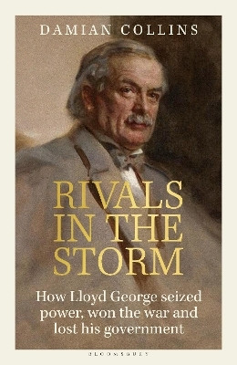 Rivals in the Storm(English, Hardcover, Collins Damian)