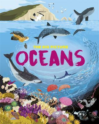 The Big Picture: Oceans(English, Paperback, Richards Jon)
