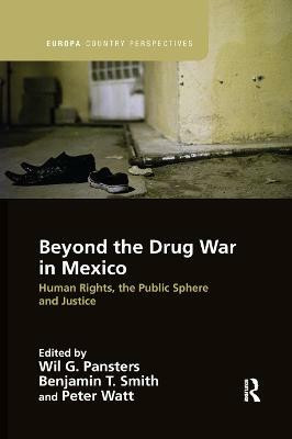 Beyond the Drug War in Mexico(English, Paperback, unknown)