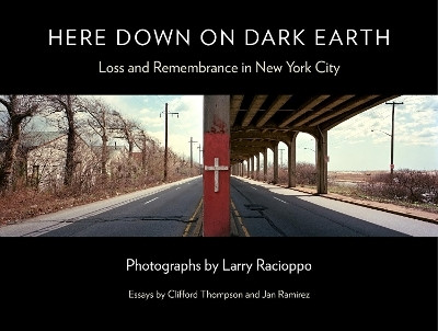 Here Down on Dark Earth(English, Hardcover, unknown)