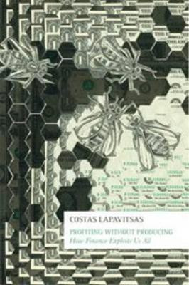 Profiting Without Producing(English, Paperback, Lapavitsas Costas)