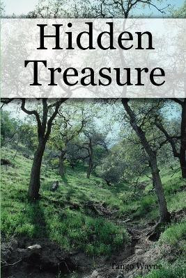 Hidden Treasure(English, Paperback, Wayne Tango)