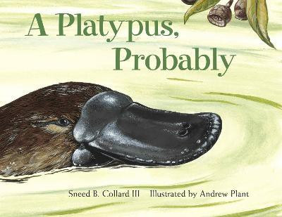 A Platypus, Probably(English, Paperback, Collard Sneed B. III)