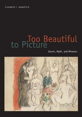 Too Beautiful to Picture(English, Hardcover, Mansfield Elizabeth C.)