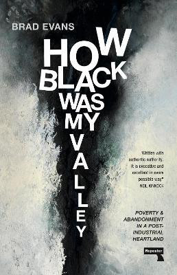 How Black Was My Valley(English, Paperback, Evans Brad)