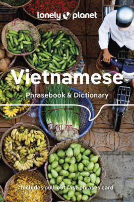 Lonely Planet Vietnamese Phrasebook & Dictionary(English, Paperback, Lonely Planet)