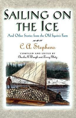 Sailing on the Ice(English, Paperback, Stephens C.)