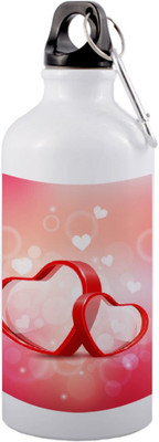 SANNO WORLD 600 ml Aluminium Bottle(Pack of 2, Multicolor)