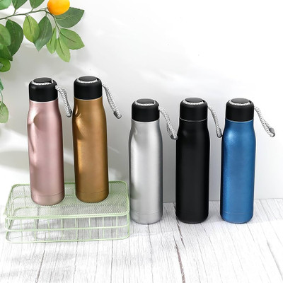 Digiegrow 500 ml Stainless Steel Bottle(Pack of 1, Blue, Black, White, Gold, Pink)