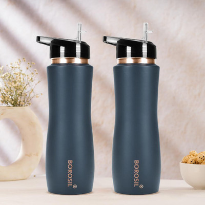 BOROSIL 750 ml Copper Sipper(Pack of 2, Grey)