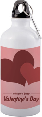 EchoPrints 650 ml Aluminium Flask(Pack of 1, Multicolor)